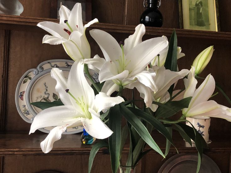 Bloomify tweet media
