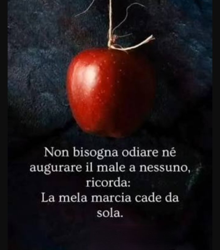 🖤~ 𝑹𝒊𝒃𝒆𝒍𝒍𝒆 ~🖤 ~𝐷𝑜𝑙𝑐𝑒&𝑅𝑖𝑏𝑒𝑙𝑙𝑒~ tweet media
