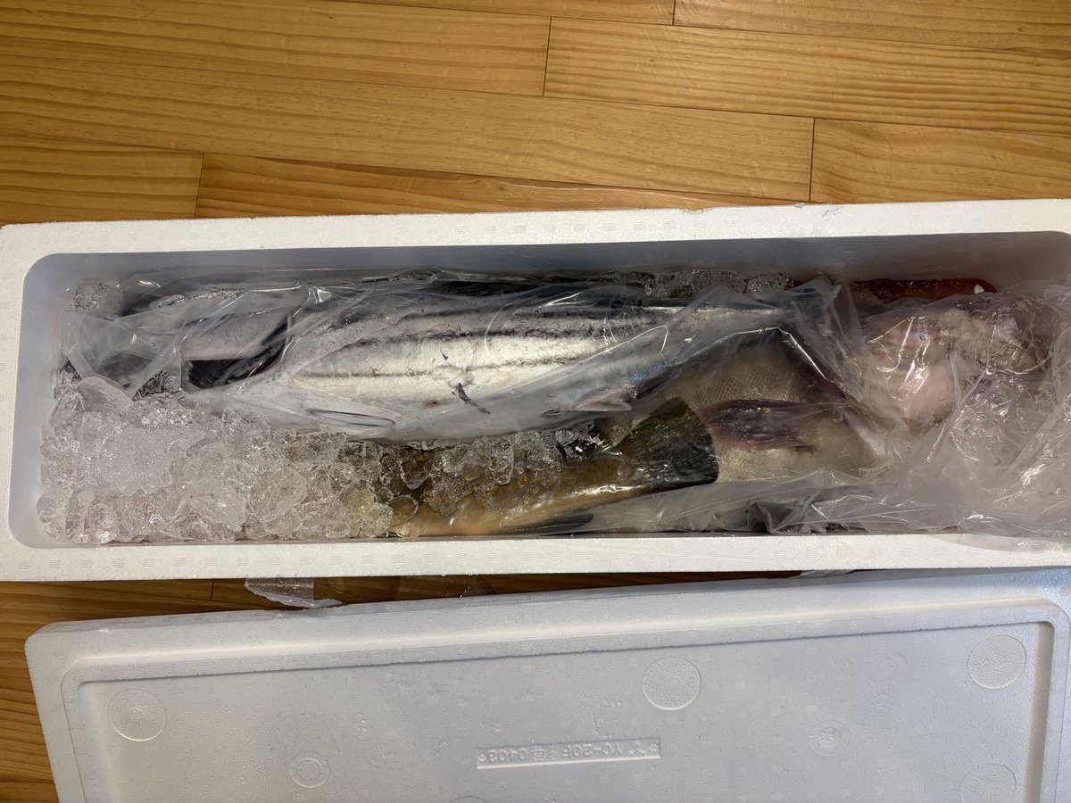 sinpina's tweet photo. ゆるぼ　近隣に住んでてカツオ捌けるひと。
やってくれたら現物支給で https://t.co/xv5VeVc7iN