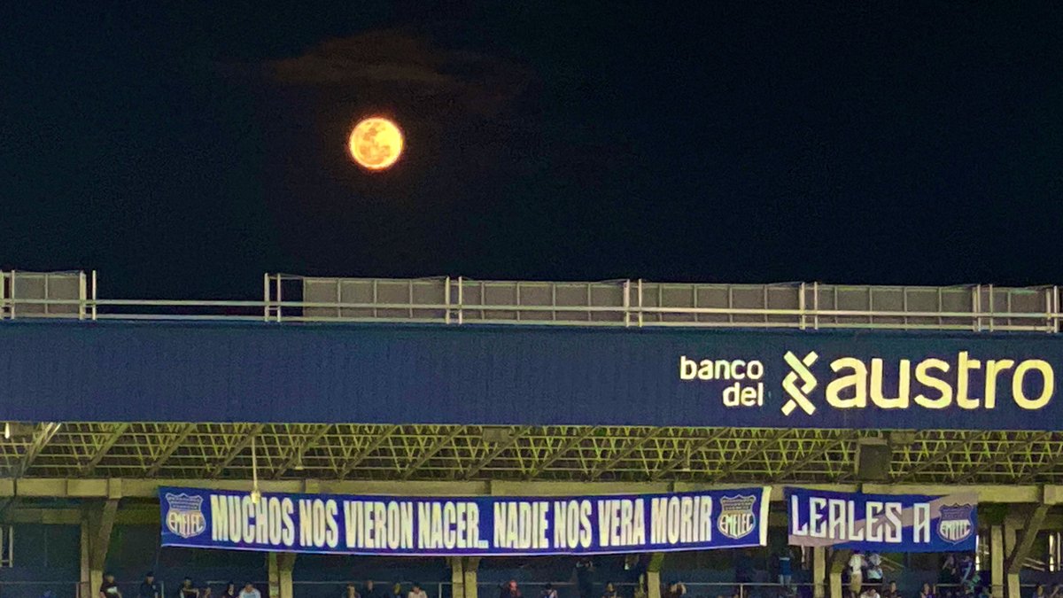 jossyemelec8's tweet photo. 💙🙌🏻
#emelec #cse https://t.co/k58TFIuHTz