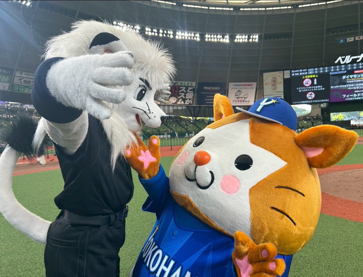 横浜DeNAベイスターズ tweet media