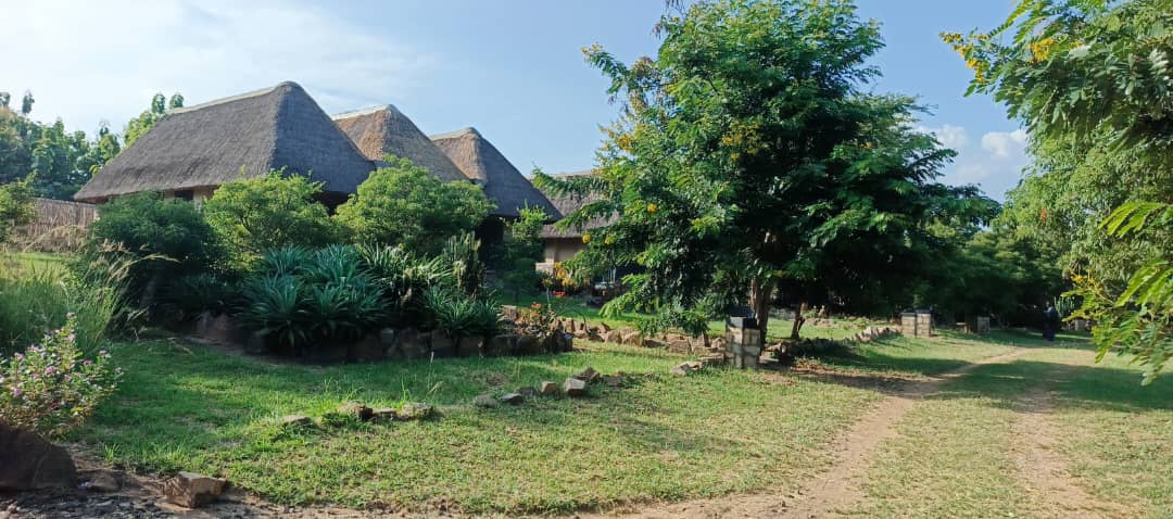 MakSaviour's tweet photo. Always get time to reflect, meditate in a serene place @Tilengasafari with a blend of nature within @MurchisonPark 
 #SelfLove
#GoldenPosts
#ExploreUganda https://t.co/IwFHXnbpyg