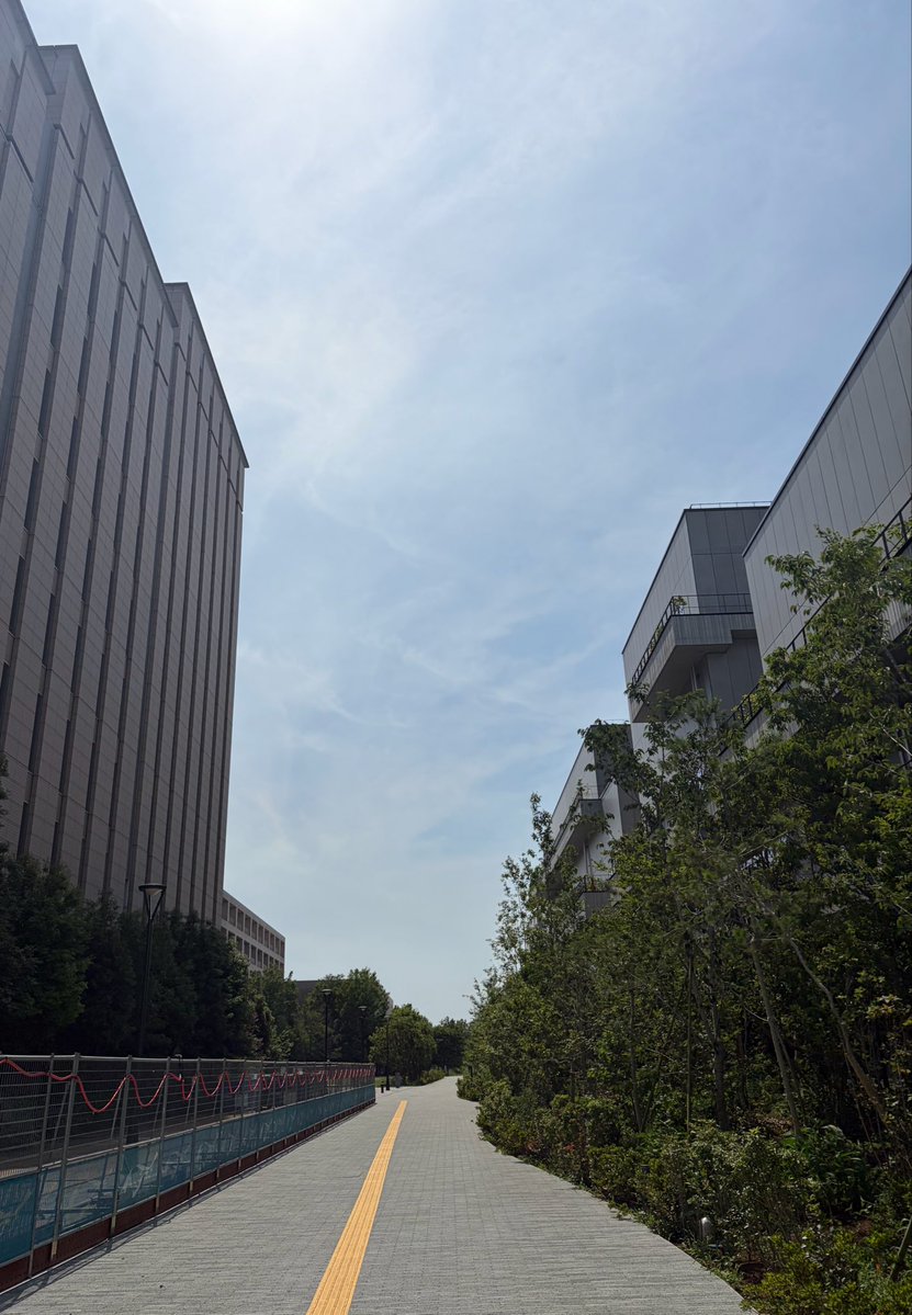 日差しが強過ぎて画面がちゃんと見えないw日中は厳しくなってくるな