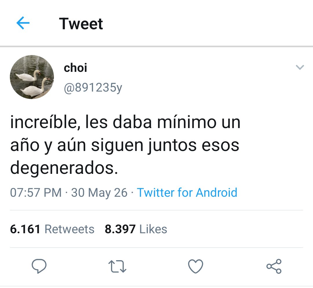 flxthsin's tweet photo. 🪤 6.7 Al fin callamos a kitty. https://t.co/USEvLifydX