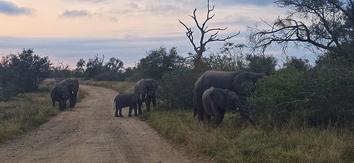 attiedb's tweet photo. @TrafficSA Good morning, small roadblock ahead. https://t.co/dGEEqr23Zg