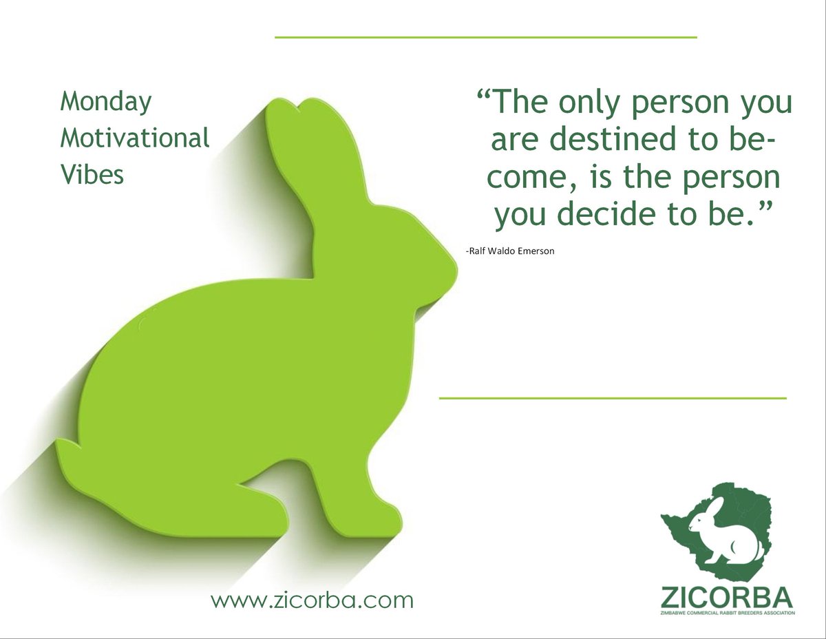 RabbitZimbabwe's tweet photo. Monday Motivational vibes ✨️ 
Happy New Week, rabbit farmers!
#rabbitfarming 
#letsmakezicorbagreat 
#healthymeat 
#zicorba https://t.co/jrWLLuvvoE