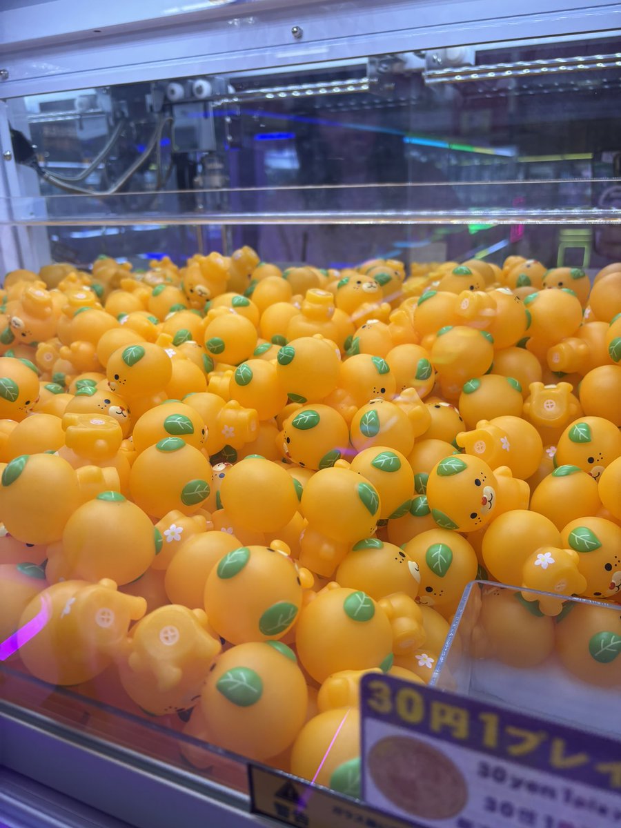 categoric's tweet photo. みきゃん狩り🍊 https://t.co/00ReNn96Wm