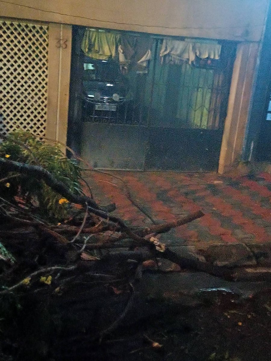 D_Chakraborty's tweet photo. A tree moved after the storm now blocks our garage, and a dying street dog lies inside our garage. KMC refused help. My elderly parents may need emergency access. Why are senior citizens expected to handle this? Borough 8 and ward 90 phone numbers not working. #westbengalcm https://t.co/iI0MOV1ppz