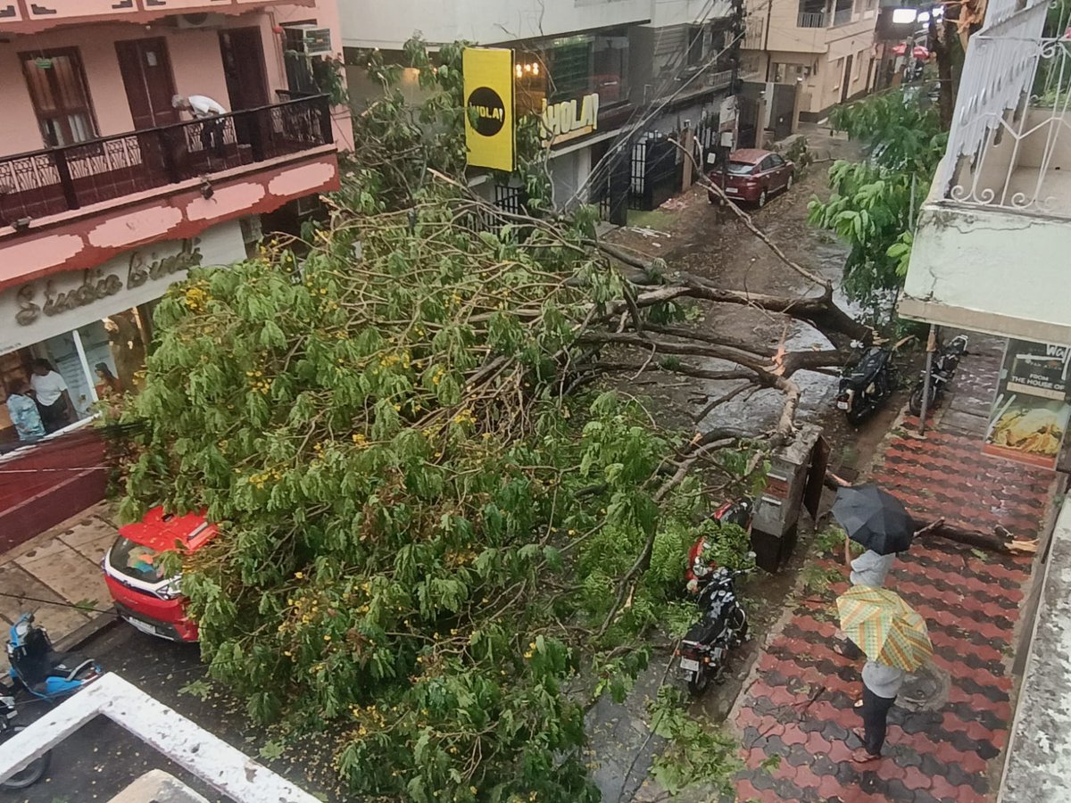 D_Chakraborty's tweet photo. A tree moved after the storm now blocks our garage, and a dying street dog lies inside our garage. KMC refused help. My elderly parents may need emergency access. Why are senior citizens expected to handle this? Borough 8 and ward 90 phone numbers not working. #westbengalcm https://t.co/iI0MOV1ppz