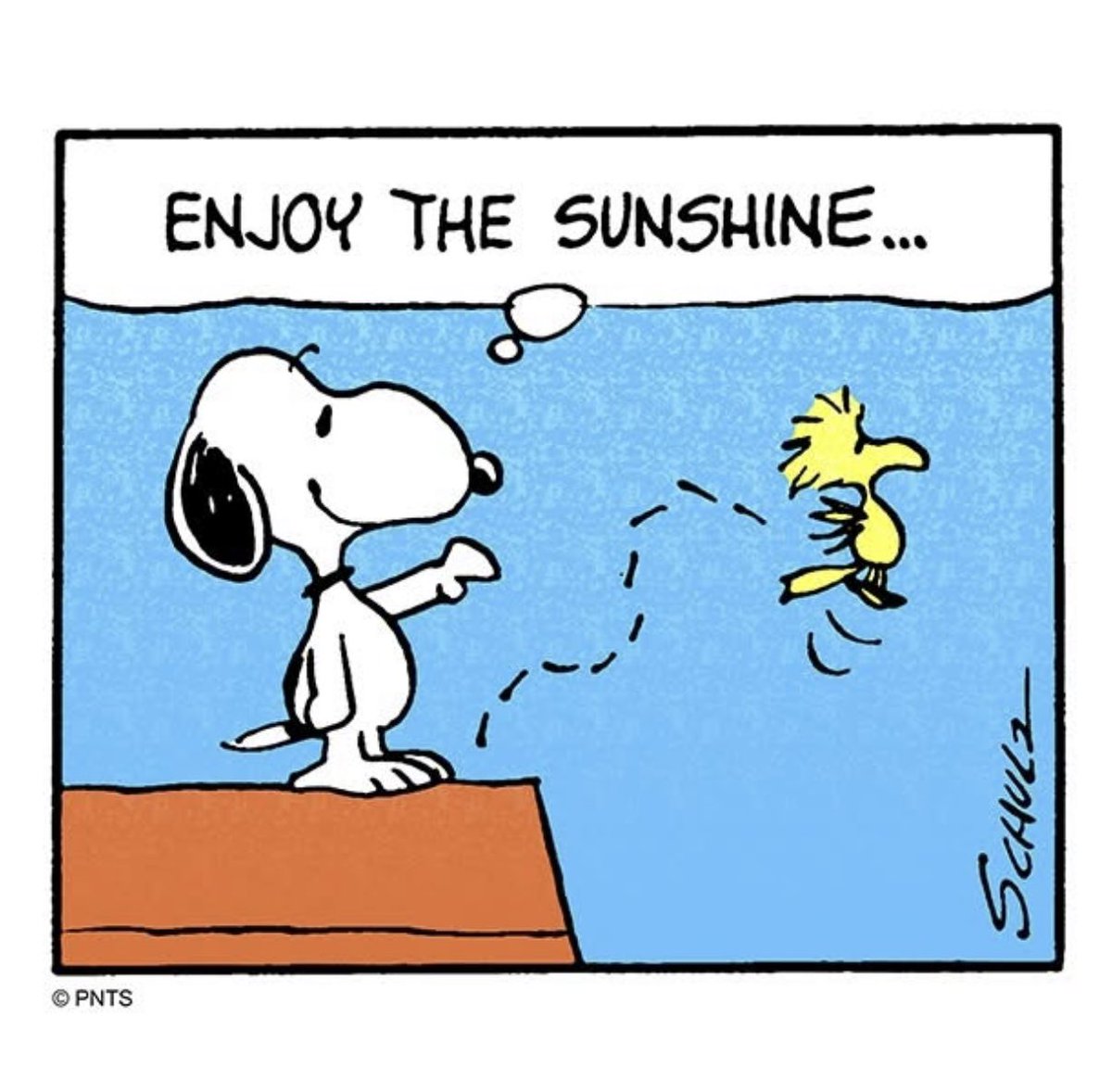 Peanuts_4Fans's tweet photo. #Peanuts https://t.co/EJ3tNRl0Y4