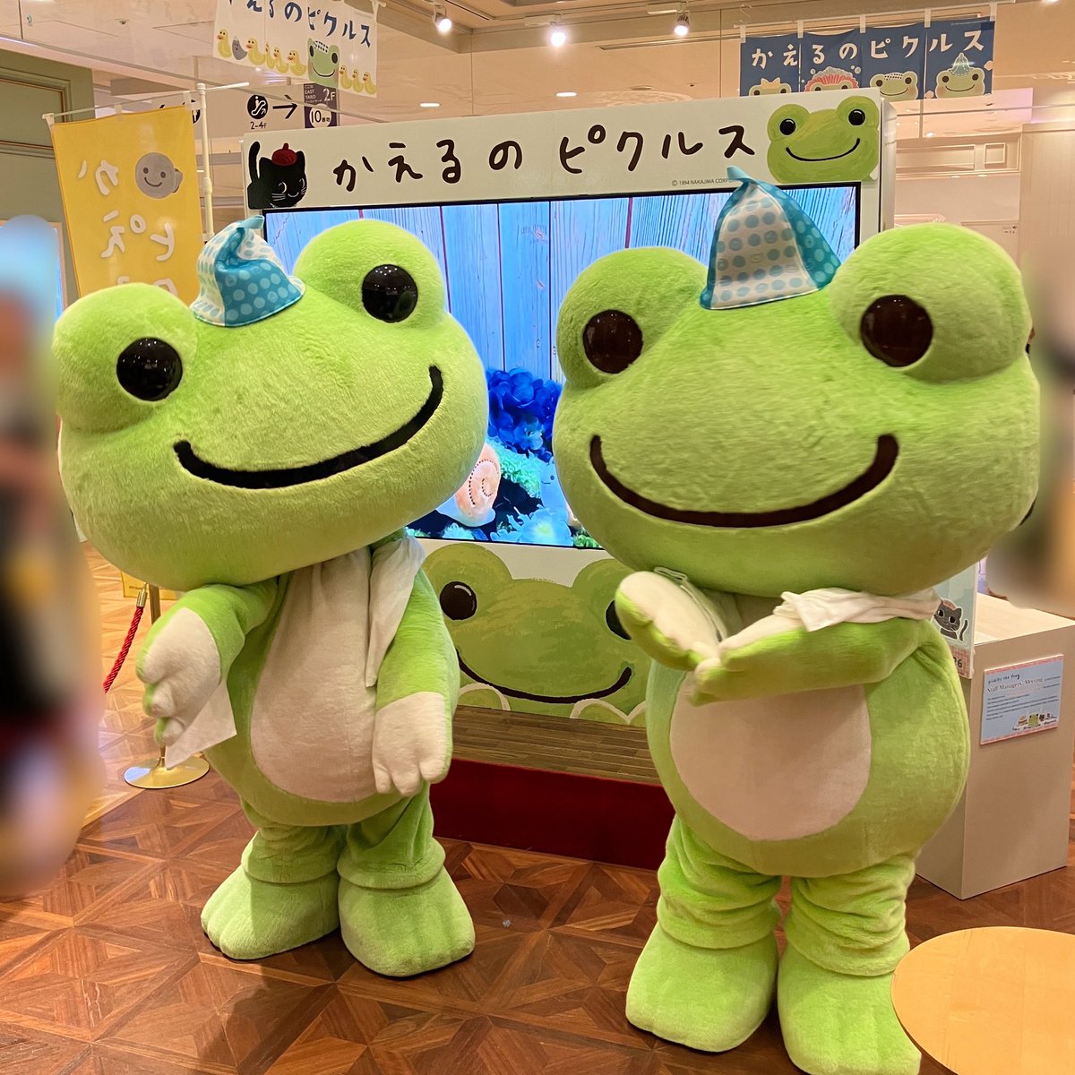 かえるのピクルス 期間限定ショップ (@pickleseventsp) / Posts / X
