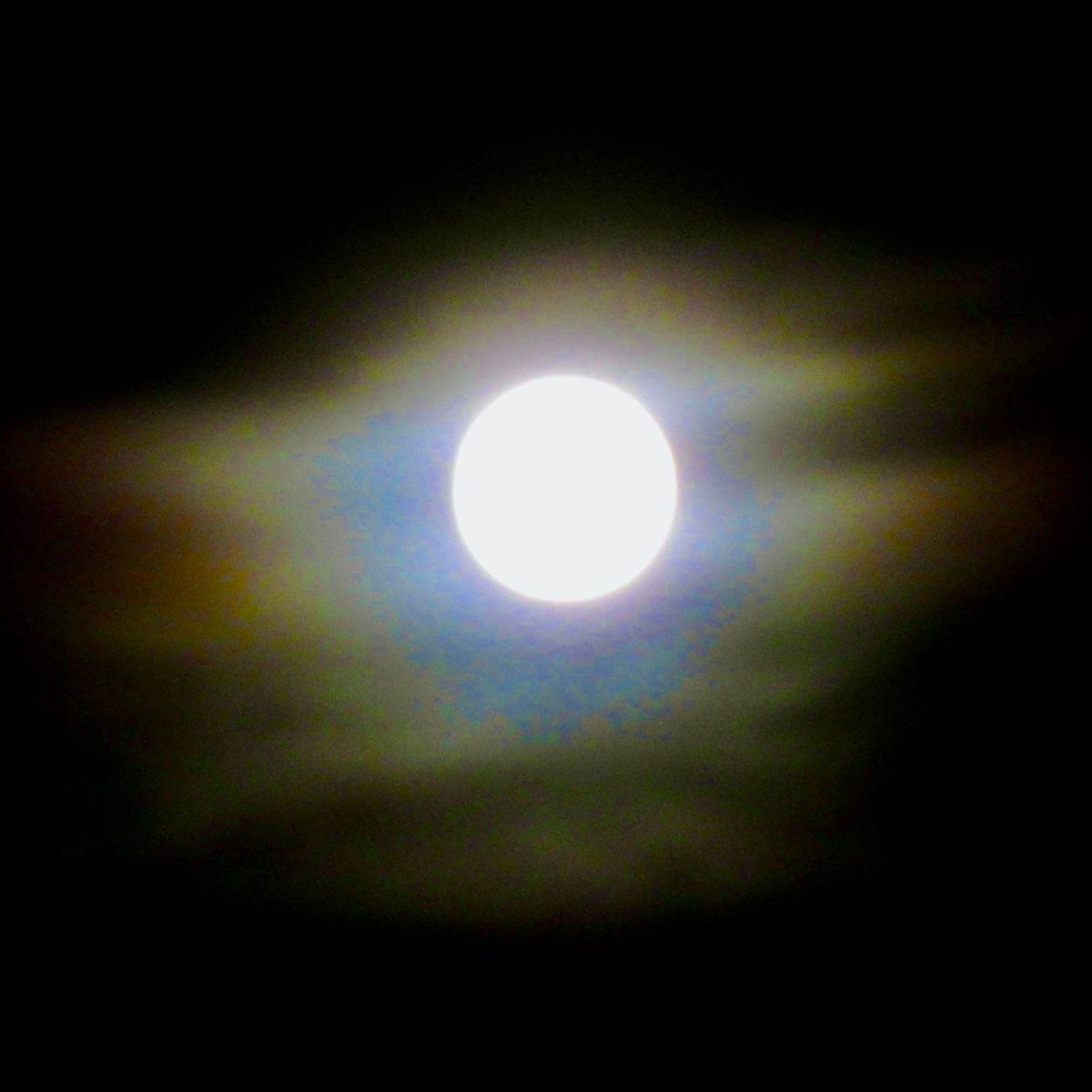 HappyPlaceGang's tweet photo. HAPPY HALO - We are celebrating our 14th year living here at our Happy Place & had an astronomical event arrive in the night sky to help make it even more special. A Full Blue Moon with a Lunar Halo. It’s also a rare Blue Micromoon. It was quite spectacular! #beautifulinblue
-Mom https://t.co/36npy9f96E