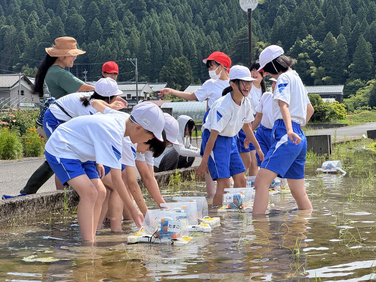 yrm__'s tweet photo. 田んぼでプログラミングしよう！

IchigoJam BASIC &amp; カムロボ at 片上小学校 https://t.co/HsaEaBtM2O