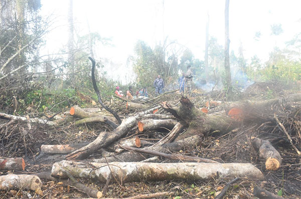 UGIndependent's tweet photo. ๐ฅLong before Bugoma Forest became a national political issue, Gerald Tenywa was writing about it
Journalist Tenywa and his long fight for Bugoma forest
https://t.co/u5lWUmnU70 https://t.co/xBPWb6ADm8
