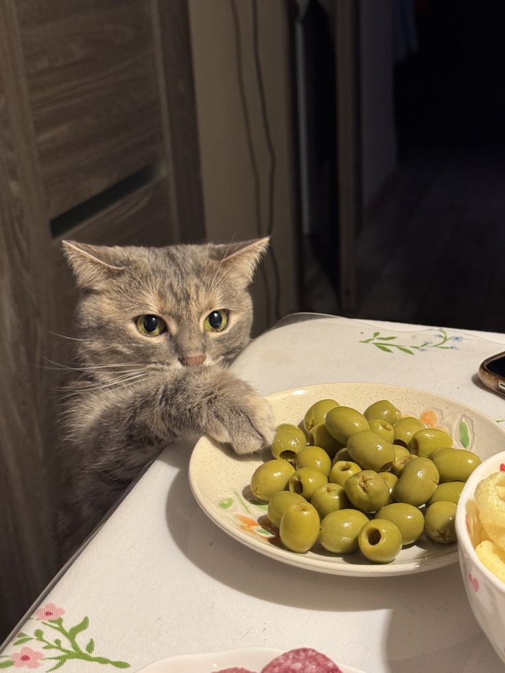 cutedreamvibes's tweet photo. olive https://t.co/wK2EKqGGa1