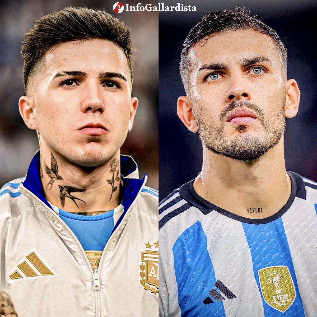 InfoGallardista's tweet photo. ‼️🐔 | ENZO FERNÁNDEZ SERÍA TITULAR EN EL DEBUT DEL MUNDIAL 🇦🇷

⏩️ Leandro Paredes iría al banco de suplentes.

ℹ️ @TyCSports https://t.co/7f716dHzgU
