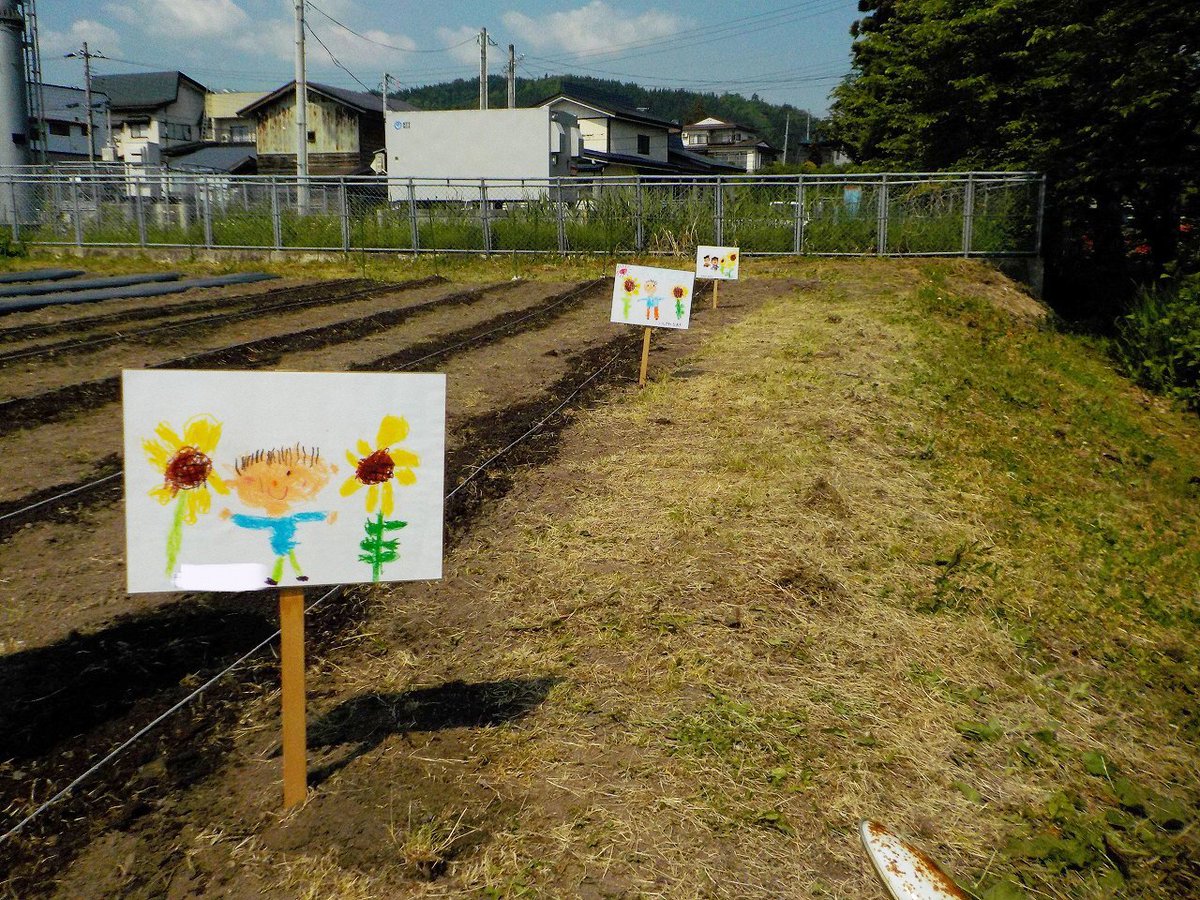 ypkoho's tweet photo. 【#村山警察署 ひまわりの絆プロジェクト】
5/14、村山警察署は、富並小学校やふたば大高根保育園のみなさんと一緒に、悲惨な交通事故をなく���、被害者支援の理解を深める「ひまわりの絆プロジェクト」を実施しました。参加者は、1件でも交通事故が減るように願い��込めてひまわりの種を植えました。 https://t.co/q6Mq8zhFkE