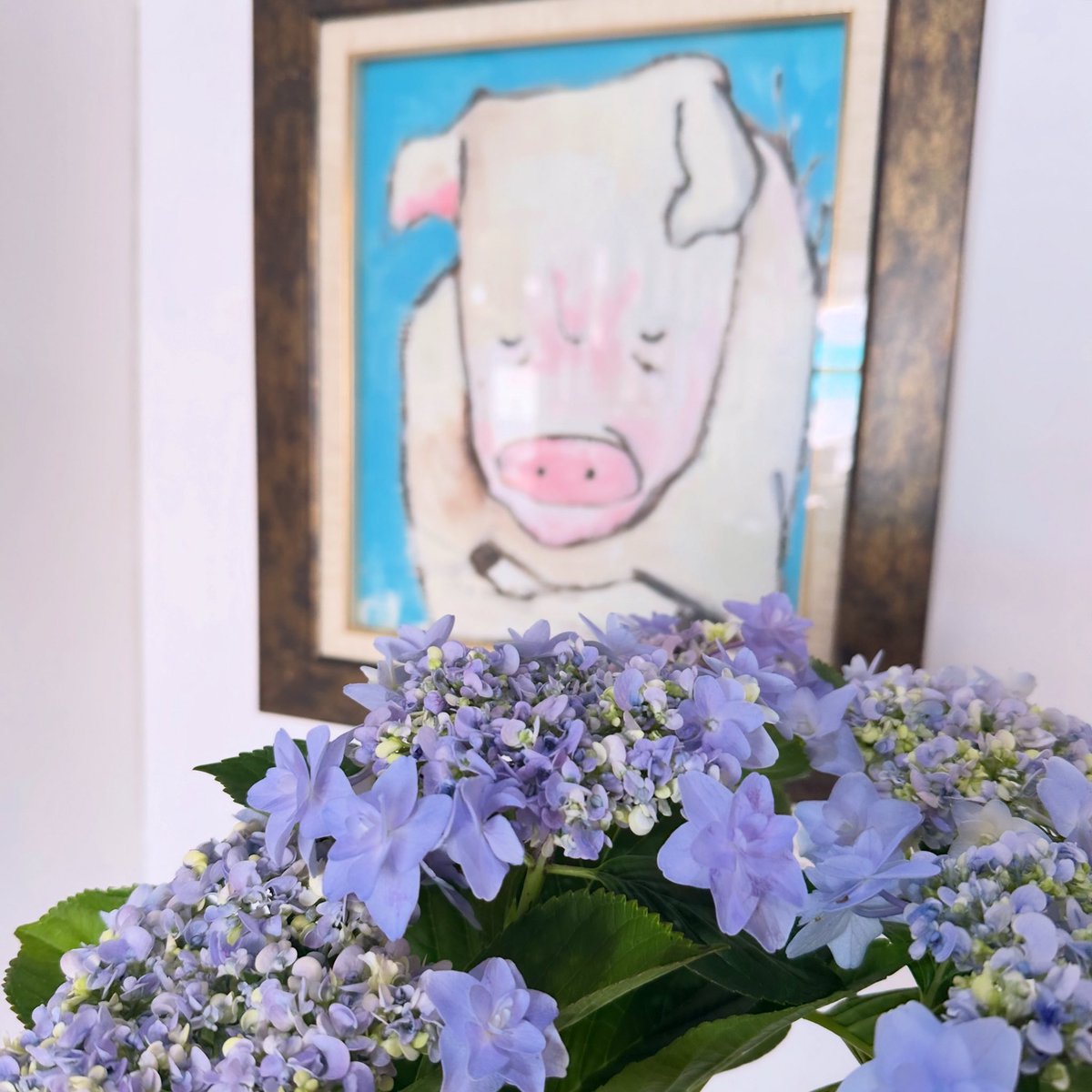 atgallerycafe's tweet photo. 晴れの #大磯 です、オープンしました。6月になりましたー！湿気があると体調を崩しやすい店主ですので、今月はしっかり体調管理に気をつけて過ごしたいと思います #atgallery_oiso https://t.co/L94gS7QpIV