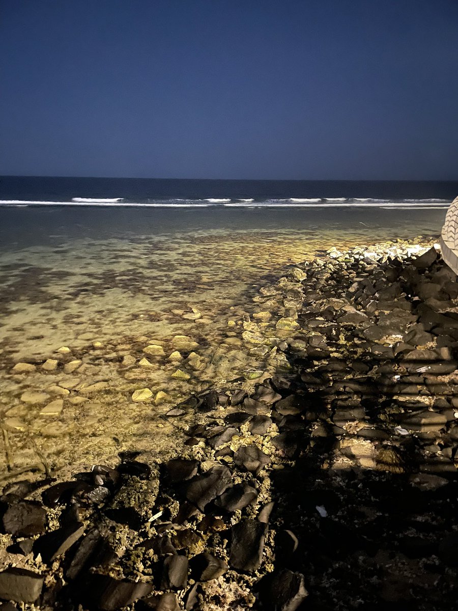soxli0's tweet photo. No destination, just the sea at 2 AM https://t.co/3eTr1sIlp5