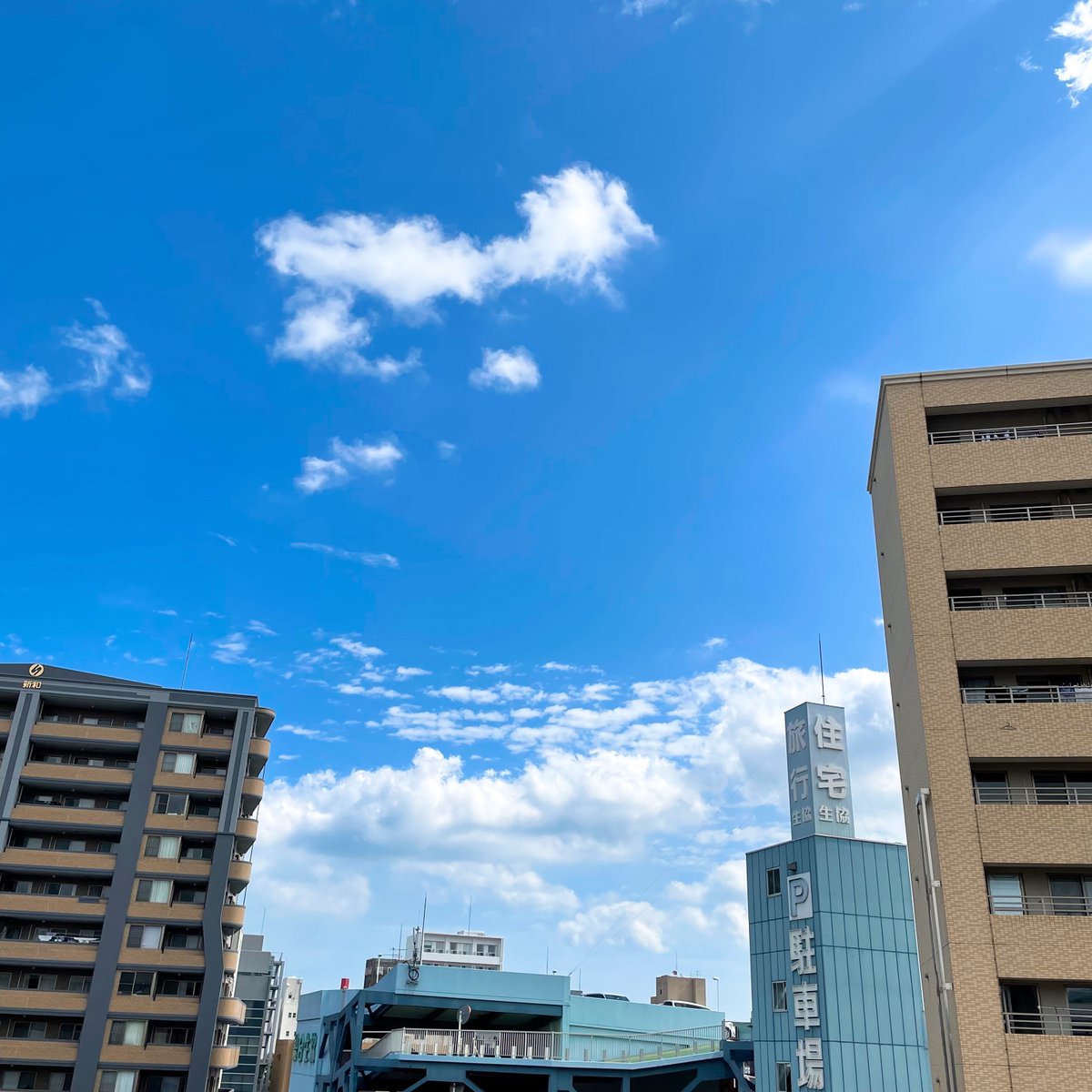 webhpeds's tweet photo. おはようございます、今朝は晴れている大分です☀️

台風が接近している影響か、風が強いです🌬️
こちらも本日午後から雨が降り出すようです☔️

今月も頑張りましょう💪💪

#企業公式が毎朝地元の天気を言い合う https://t.co/othiPkRz02