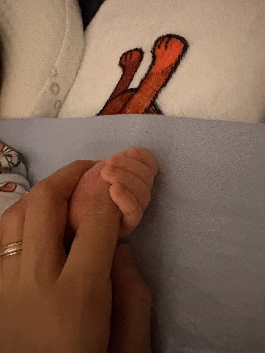 luisaruda1's tweet photo. Solo espero en segunda vuelta darle un futuro a mi hijo 🥹🙏🏻🩵 https://t.co/Dywd34S8a6
