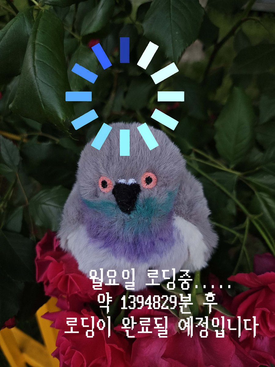 tuldulgi's tweet photo. 로딩하는데 다소 시간이 걸릴수 있습니다.
로딩중 전원버튼은 절대 끄지마세요.
털둘기도 피하지 못한 지구 개쓰레기요일 ㅠㅠ https://t.co/0oGe62Owv6