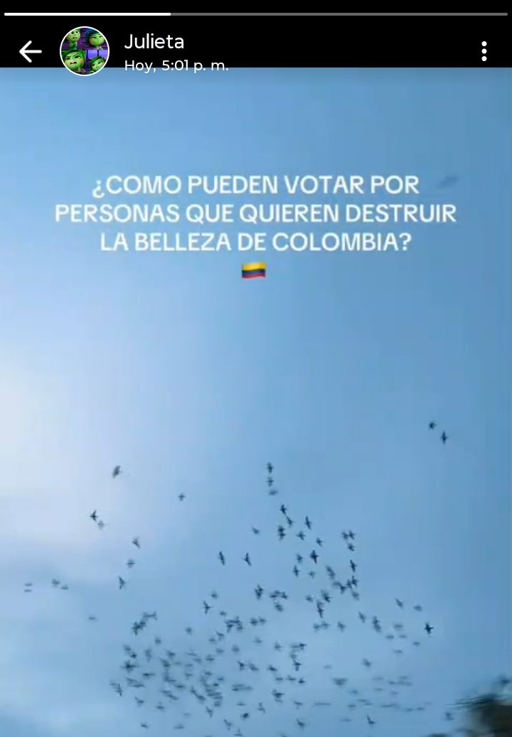 terorito tweet media
