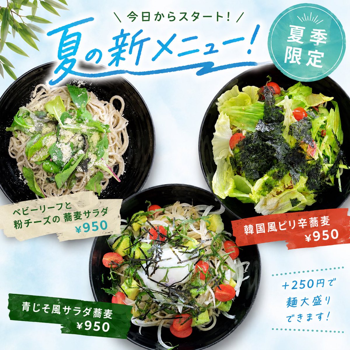 forestpeer's tweet photo. 皆さんおはようございます☀️
食堂よりお知らせです！！
⁡
暑さ吹き飛ぶ！夏の新メニュー！🔥
⁡
夏季限定メニューに
サラダ蕎麦3種が加わりました！❤️‍🔥
⁡
🥗青じそ風サラダ蕎麦
🥗ベビーリーフと粉チーズの蕎麦サラダ
🥗韓国風ピリ辛蕎麦
⁡
各950円(＋250円で麺大盛り可)
⁡ https://t.co/DYh11rFDF7