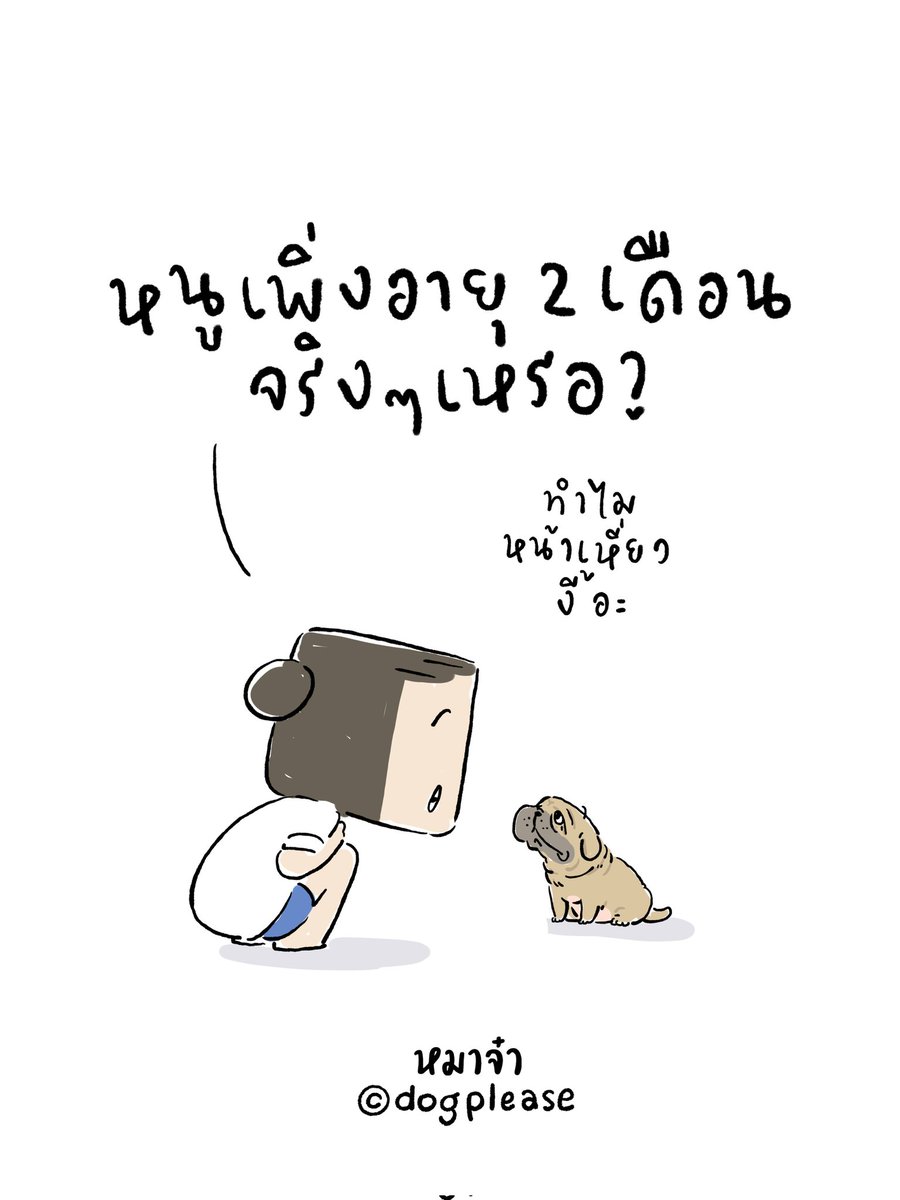 dogplease2013's tweet photo. https://t.co/rvFOCik08w