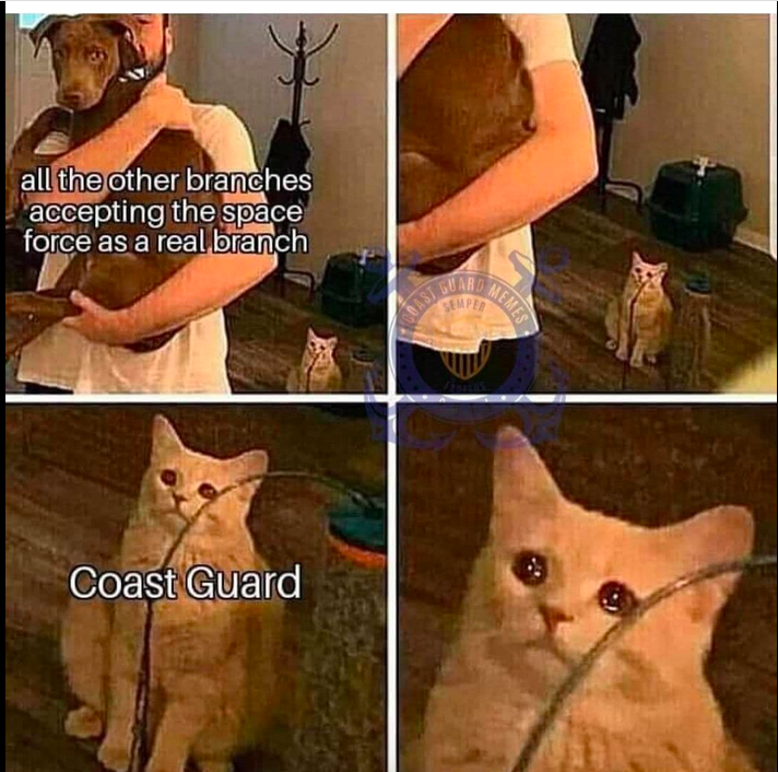 JayJosephVet's tweet photo. Sad cutter noises https://t.co/DNTCBIXYrh