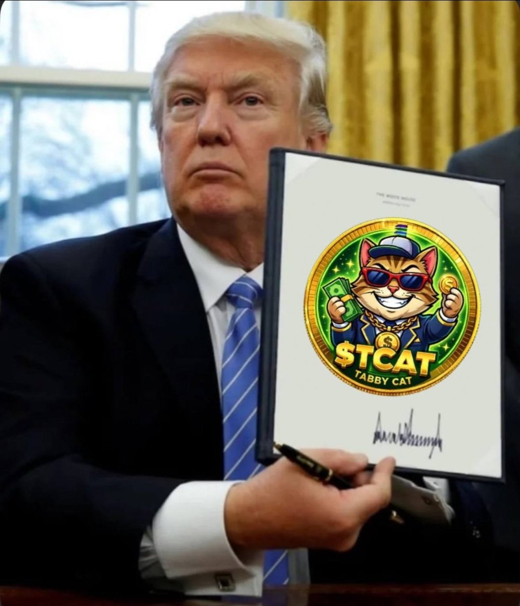 TabbyCatMeme's tweet photo. Would he approve of $TCat ? 

#MemeCoin #Joke 😆 $Sol #Trump #Pumpfun https://t.co/gzRGoQWUYn