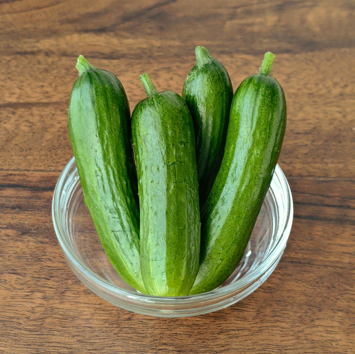 hmamiew's tweet photo. ミニきゅうり🥒
本日は4本収穫
もう20本くらいとれたかも😲
まだ実はできそうだけど、でき始めの頃の勢いはなくなってきたような…
追肥してみたよ

あとポタ電をソーラー充電⚡
34%スタートで、今日でどれだけ充電できるかな😄 https://t.co/da1hbpUK3A