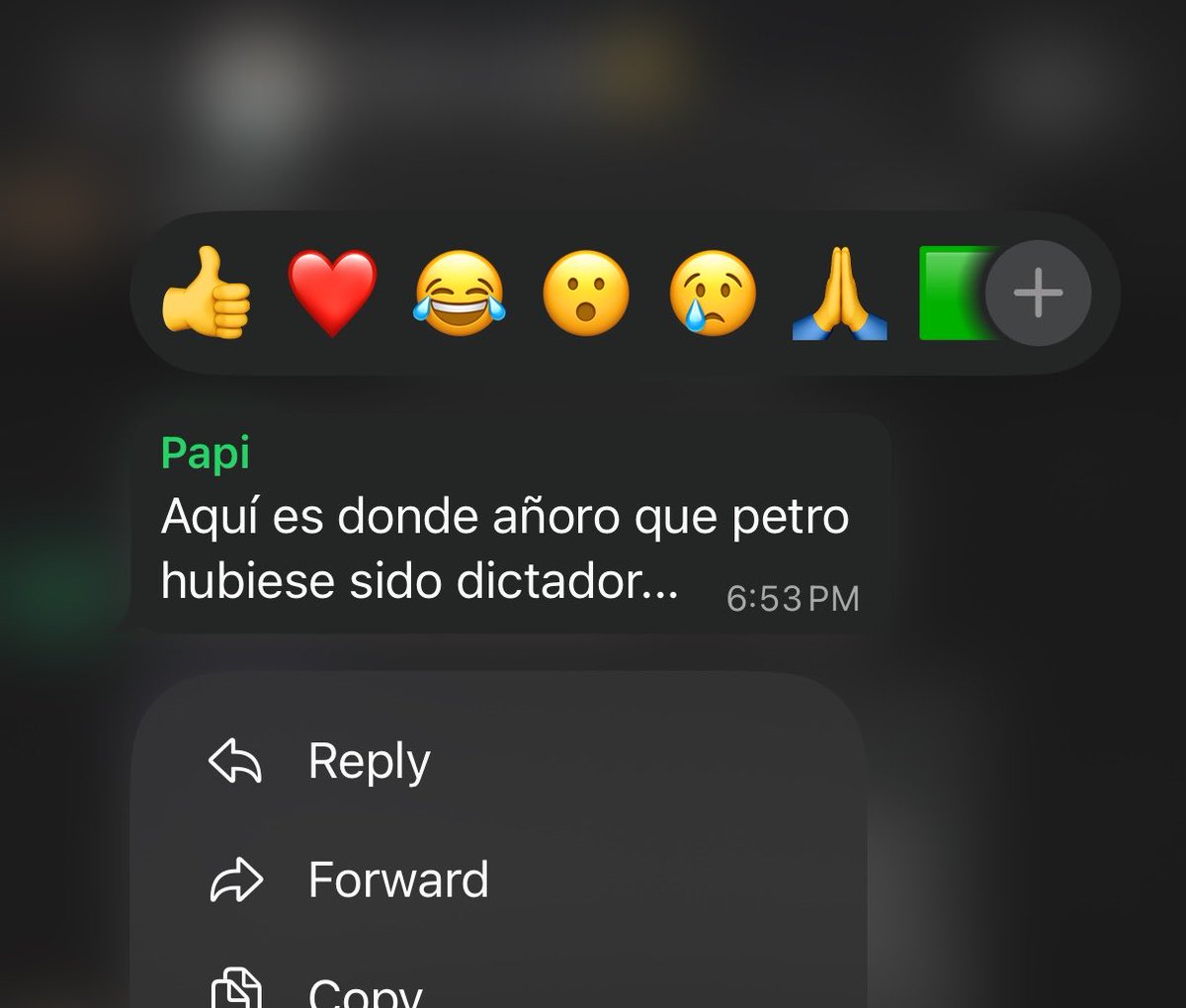 carito🪽 tweet media