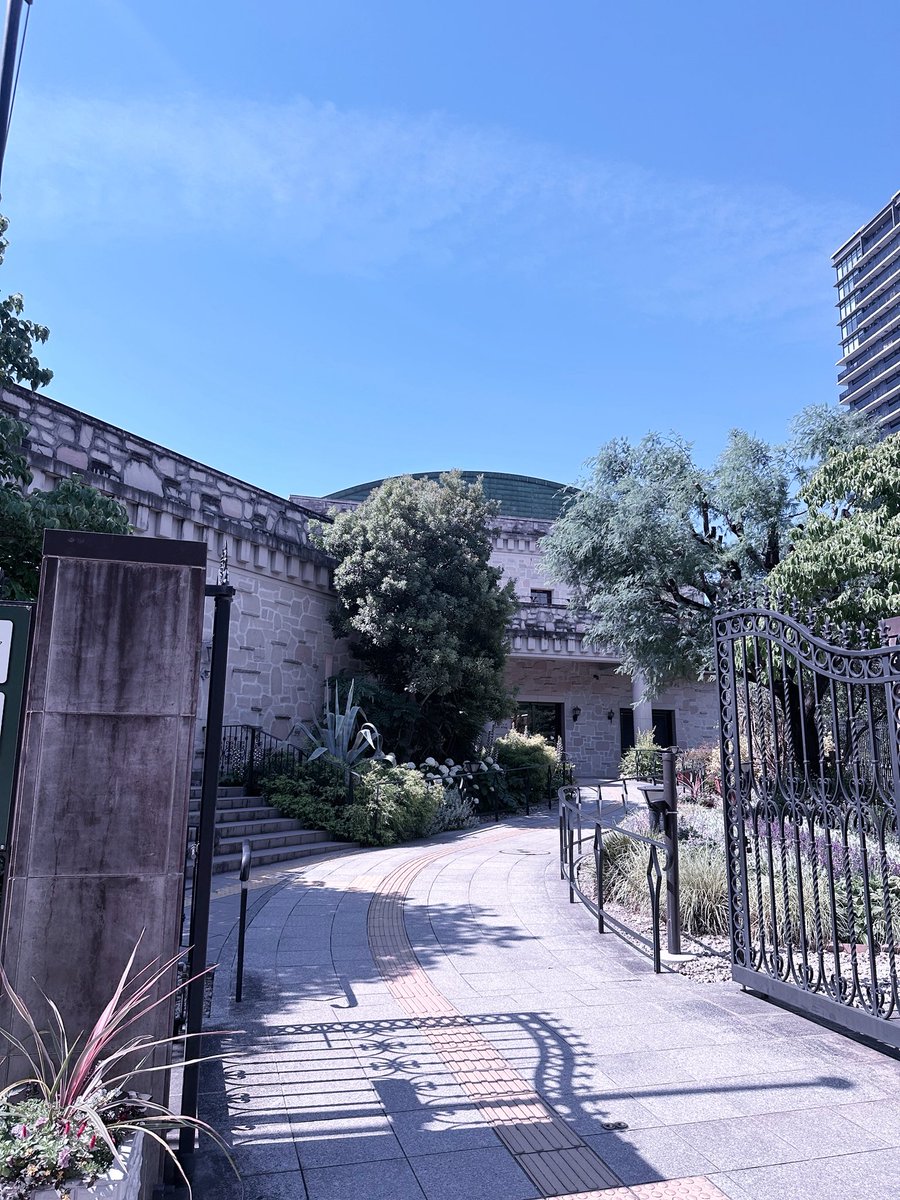kyoo__oo's tweet photo. ごきげんよう、朝活ですゎょ
紫のお花発見^ᴗ ̫ ᴗ^ https://t.co/fRMkwF8dT1