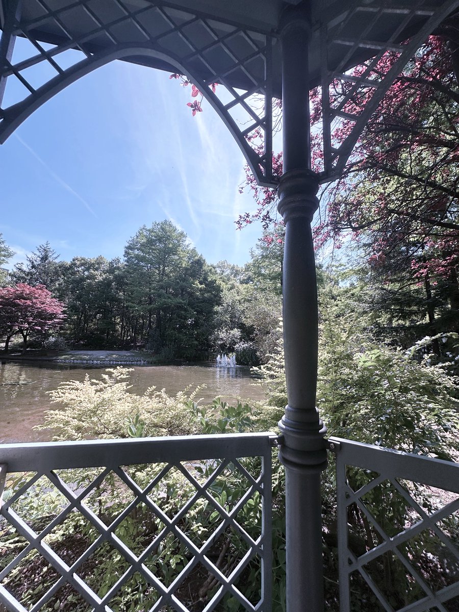 kyoo__oo's tweet photo. ごきげんよう、朝活ですゎょ
紫のお花発見^ᴗ ̫ ᴗ^ https://t.co/fRMkwF8dT1