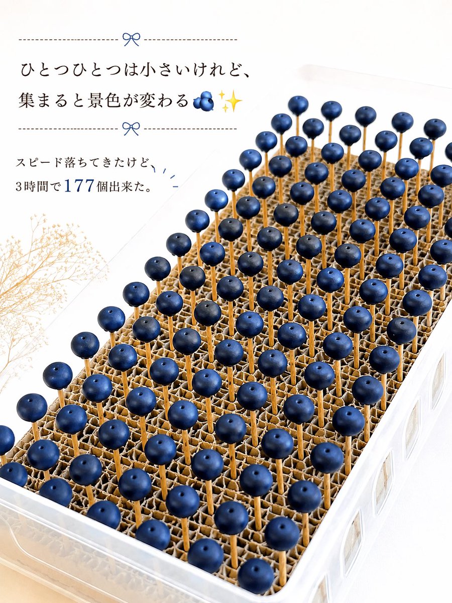 hakoya73's tweet photo. イベントが続くので、
まだまだブルーベリーを
増やします😅 https://t.co/HTDr5V9AnH
