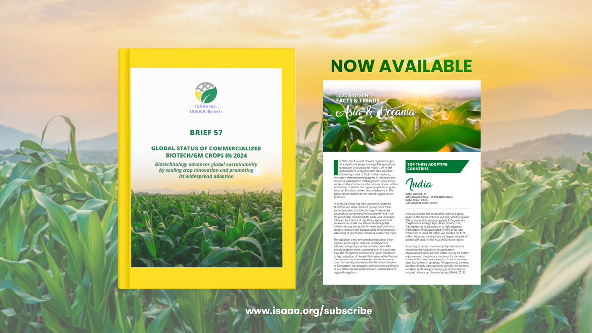 isaaa_org's tweet photo. NOW AVAILABLE: The 2024 Biotech Facts and Trends: Asia &amp; Oceania, a regional summary and analysis of biotech adoption and a supplement to Brief 57: Global Status of Commercialized Biotech/GM Crops in 2024. Get your copies here: https://t.co/wwBAERhIfz https://t.co/bBmjQugTsq