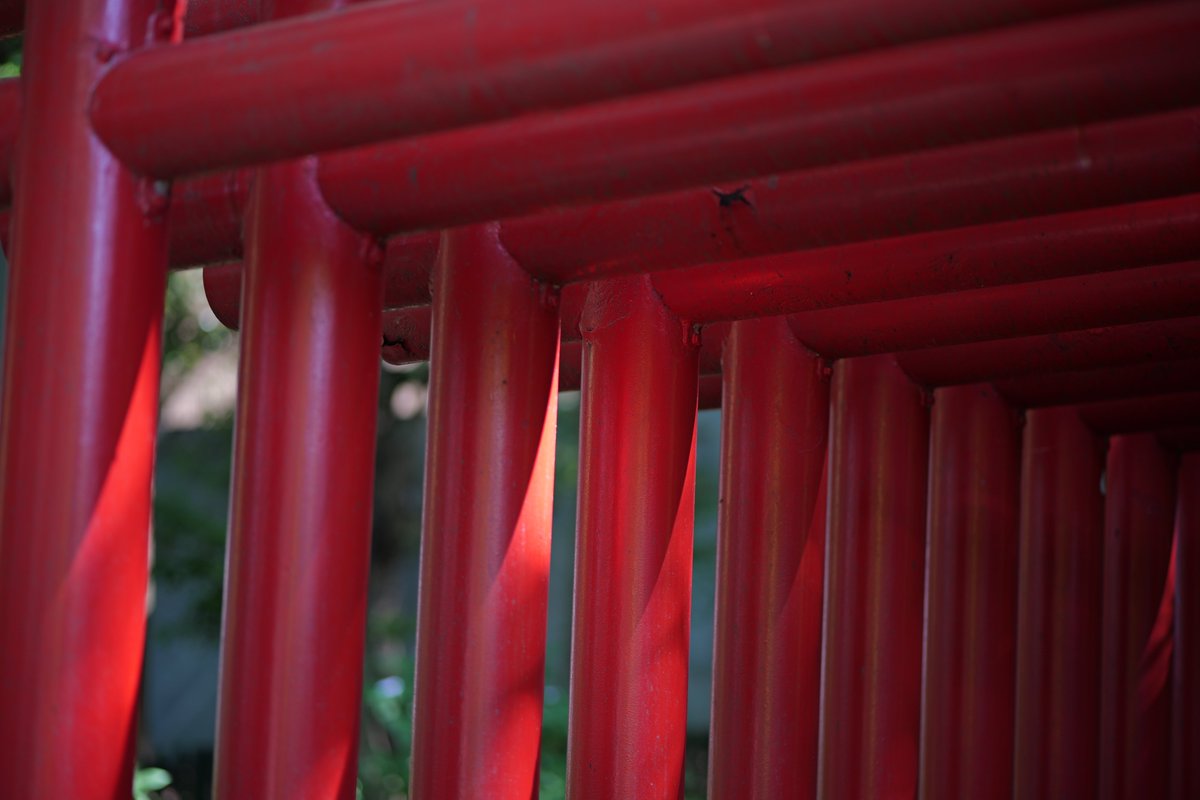 sicam623's tweet photo. LUMIX S1IIE
LUMIX S 85mm F1.8 https://t.co/9nD6hB9tkH