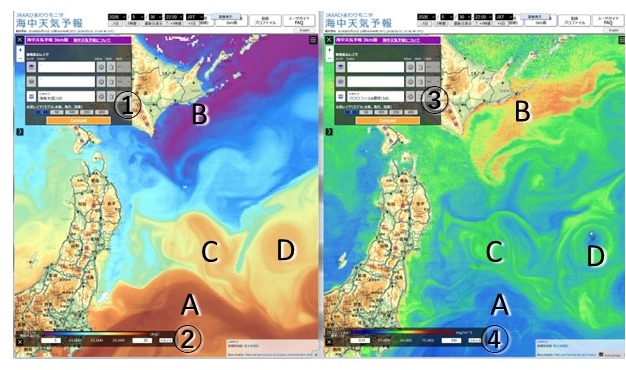 APL_JAMSTEC's tweet photo. 黒潮親潮ウォッチ更新:
「高い水温になることを予測(親潮ウォッチ2026/5)」
黒潮続流から暖水が分岐して、親潮域が高い水温になることを予測しています。
https://t.co/Wq2Z41b4yu https://t.co/DEjmEFPA7d