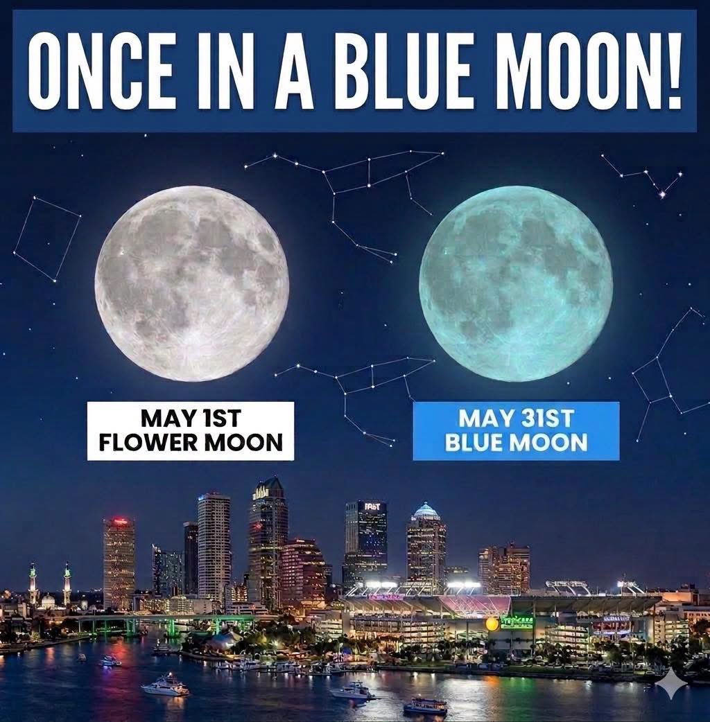 PaulFox13's tweet photo. Tonight’s second full moon of May is referred to as a Blue Moon. 

Blue Moon tidbits:

Frequency: Every 33 months (about 2.7 years).

19-Year Cycle: Exactly seven Blue Moons occur every 19 years.

Common Timing: For a #BlueMoon to occur, the first full moon must fall on the 1st or 2nd of the month.

Impossible Month: February can never have two full moons because it is shorter than the 29.5-day lunar cycle.

And the moon below is “blue” for illustration purposes only. 🤣
