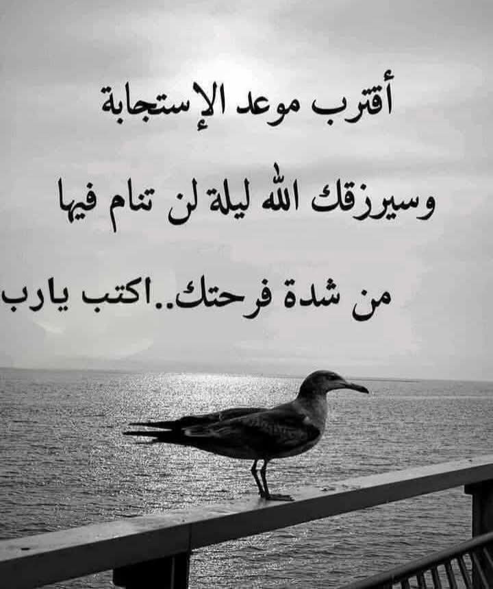 almoshafalshree's tweet photo. أقترب موعد الإ ستجابة https://t.co/UQyaxOJjEh
