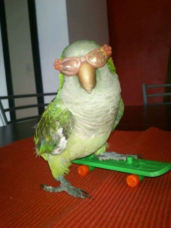 esme✧.* tweet media