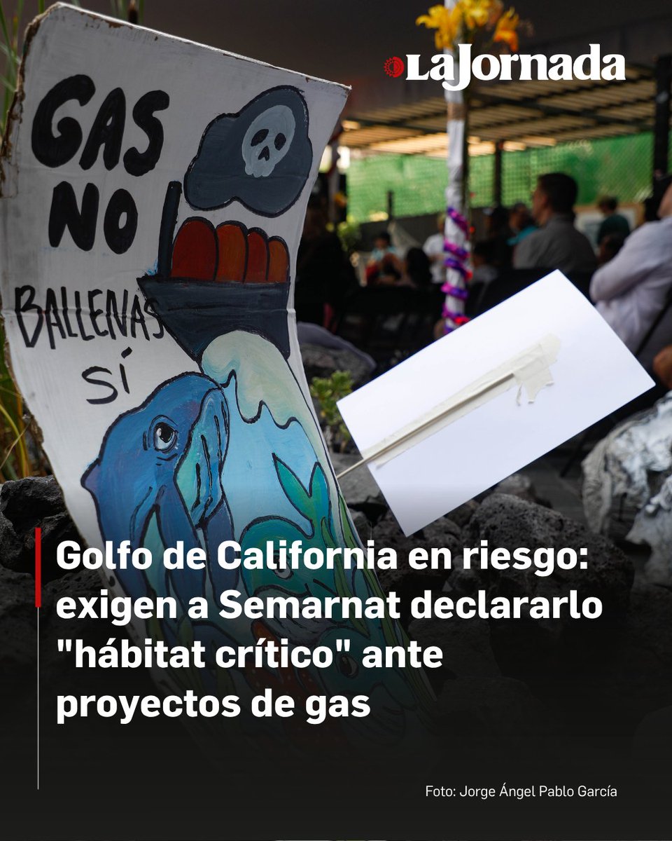 lajornadaonline's tweet photo. El Golfo de California, conocido como el acuario del mundo, está en riesgo debido a los proyectos de extracción de gas natural como Saguaro y Amigo GNL, megacruceros e infraestructura industrial.

Por ello, organizaciones socioambientales buscan que esta zona se declare “hábitat crítico”, figura legal que otorga la Secretaría de Medio Ambiente y Recursos Naturales (Semarnat), para proteger a las especies.

Más información en: https://t.co/TurYWJKbeN