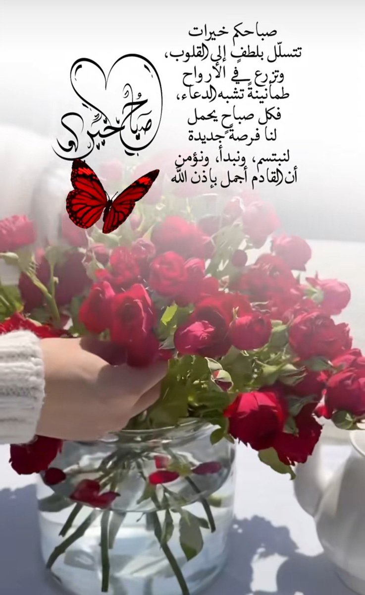 alamriya💎 tweet media