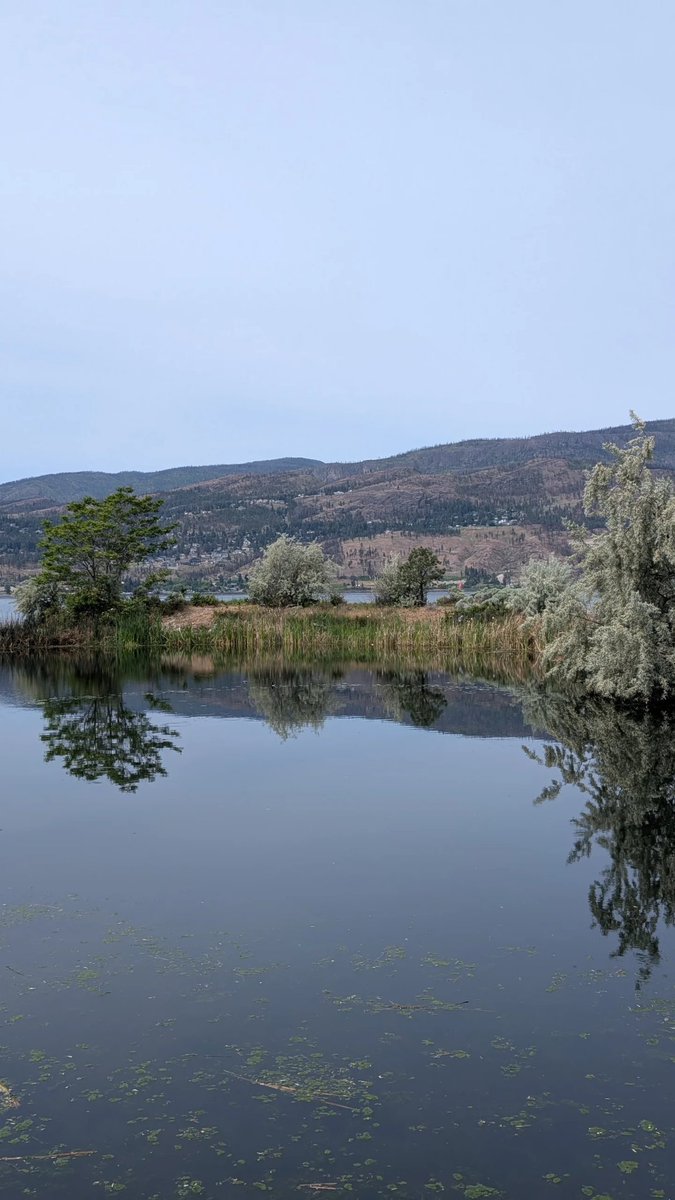 micheledwiggins's tweet photo. Today is our last day in Kelowna for the #MemorialCup  and it has been amazing! Everyone here has been so friendly and helpful, and we have enjoyed watching the @Kelowna_Rockets and @WHLsilvertips represent @TheWHL. And for the first, and last time this season, Let's Go Tips. https://t.co/nsVj3SsaQQ