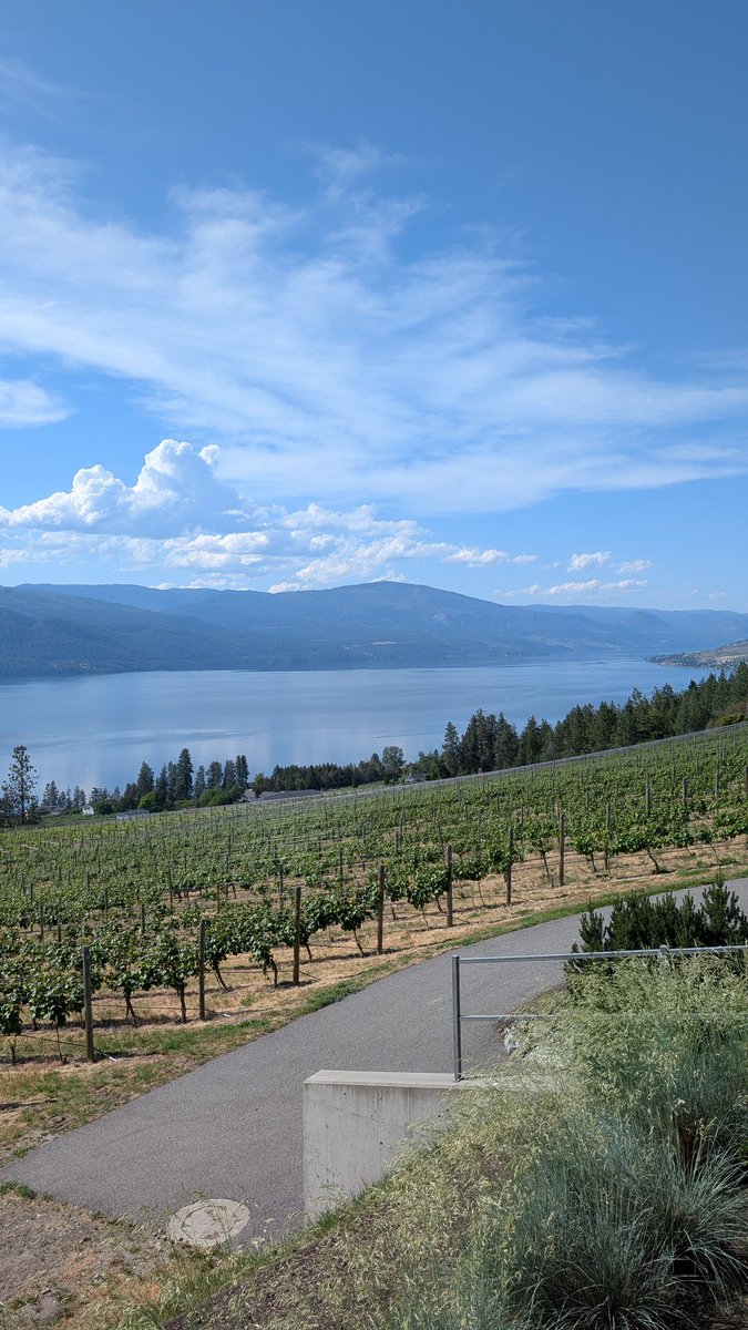 micheledwiggins's tweet photo. Today is our last day in Kelowna for the #MemorialCup  and it has been amazing! Everyone here has been so friendly and helpful, and we have enjoyed watching the @Kelowna_Rockets and @WHLsilvertips represent @TheWHL. And for the first, and last time this season, Let's Go Tips. https://t.co/nsVj3SsaQQ