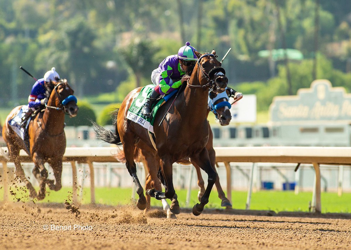 benoitphoto_'s tweet photo. Stronghold and jockey Antonio Fresu win the Grade III, $100,000 Triple Bend takes, Sunday, May 31, 2026 at Santa Anita Park, Arcadia CA.

View all our photos at https://t.co/GRX92DKjLs 

© BENOIT PHOTO https://t.co/D72h1fpfpy