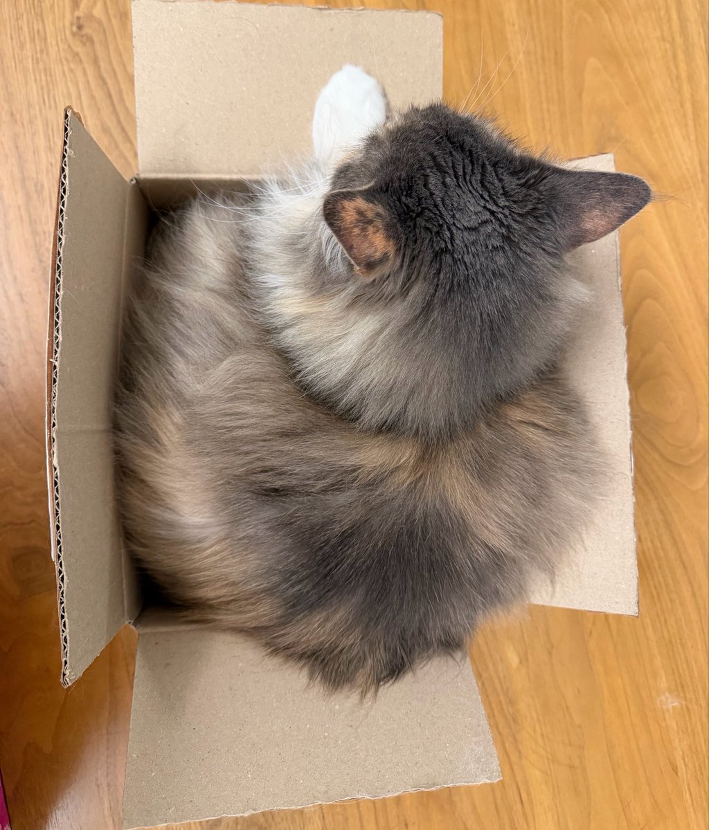 hani_kurumeru's tweet photo. 追伸
はみ出てるから送れないよね
蓋は閉まりません https://t.co/KnDe8RAKsG