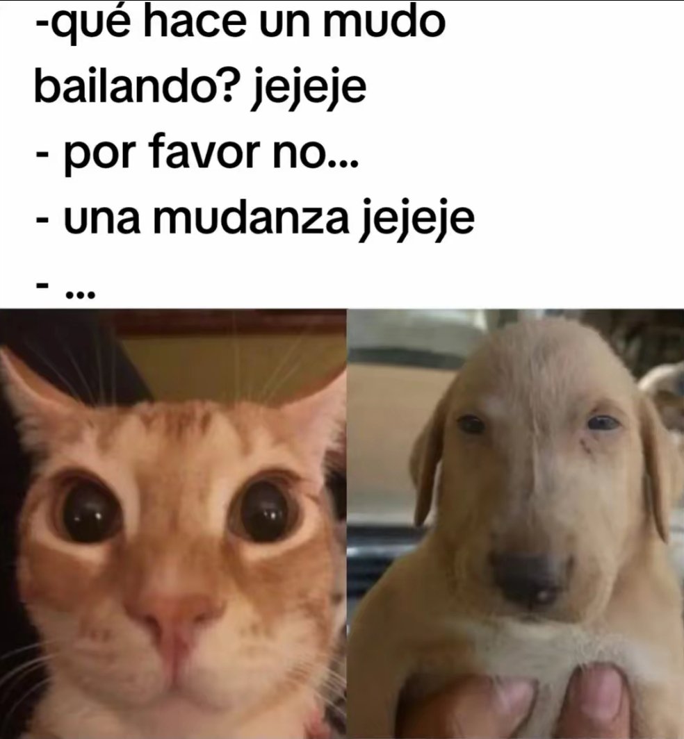 PlatanoSans's tweet photo. https://t.co/0QG1ech8dP