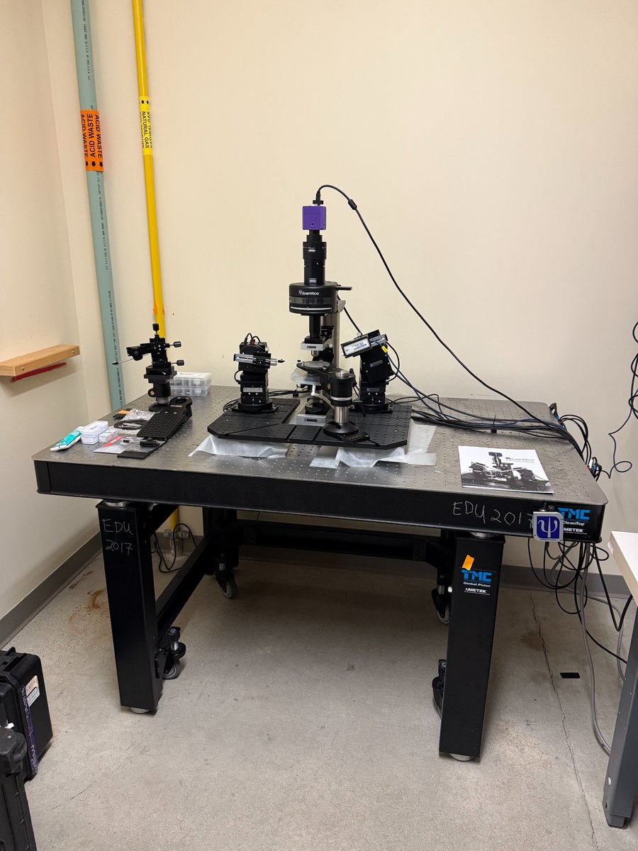 MblNeuro's tweet photo. https://t.co/VVNWS7dQPm